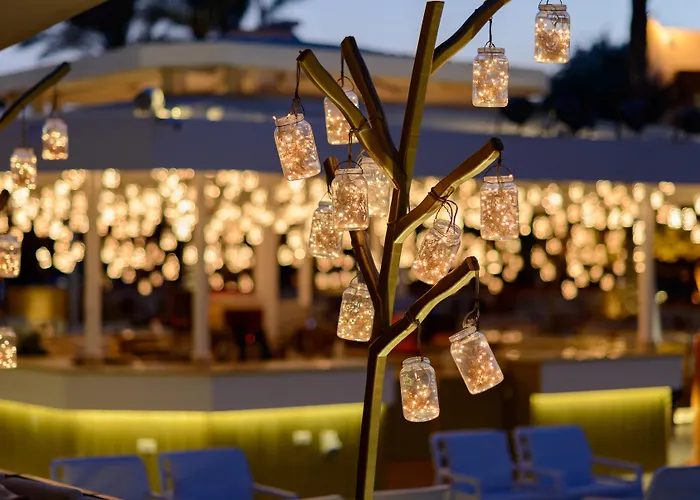 Desert Rose Resort