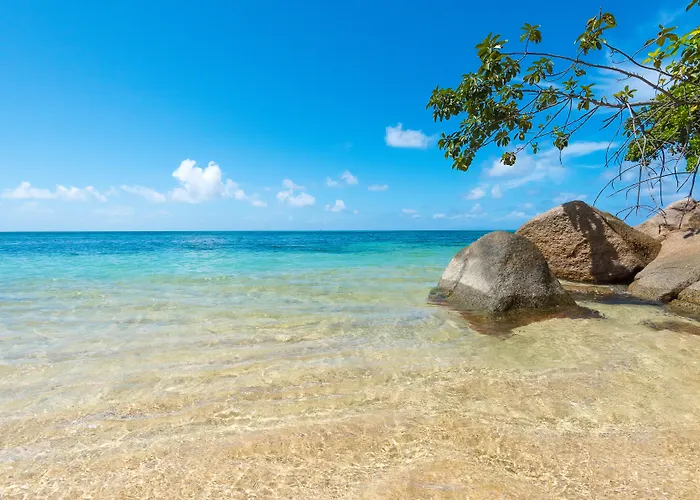 Coco De Mer Hotel And Black Parrot Suites