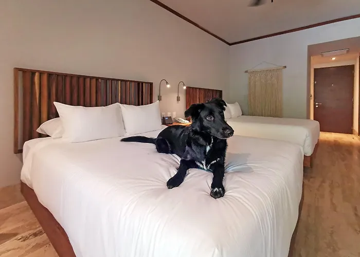 Aluna Resort Tulum