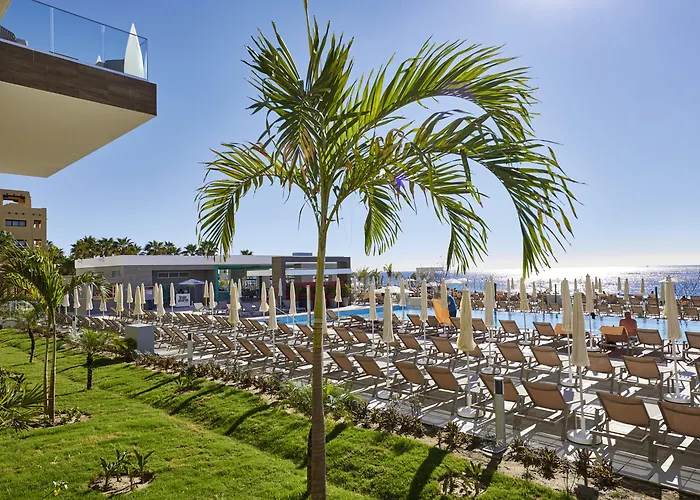 Riu Palace Baja California (Adults Only)