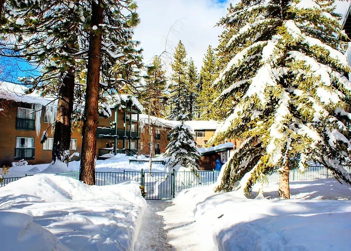 Forest Suites Resort At The Heavenly Village