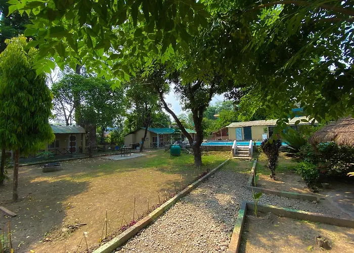 Nature Safari Camp
