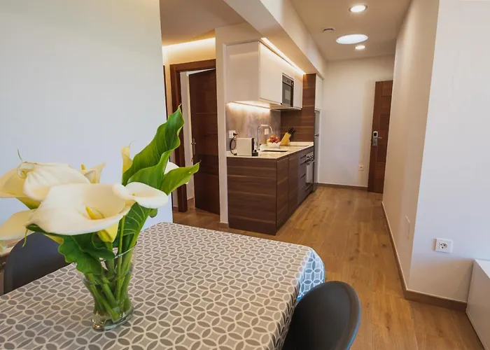 Apartamentos Mirador de Vidío