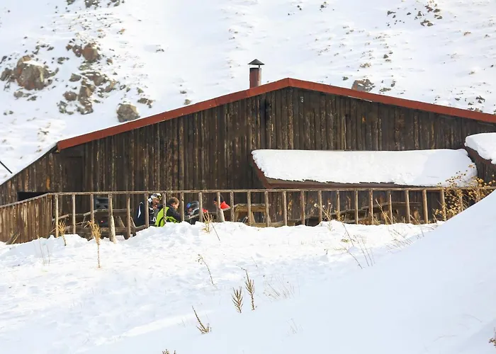 Polat Palandoeken