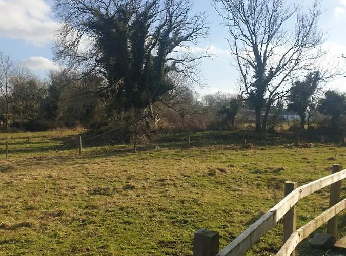 Red Squirrel Lodge