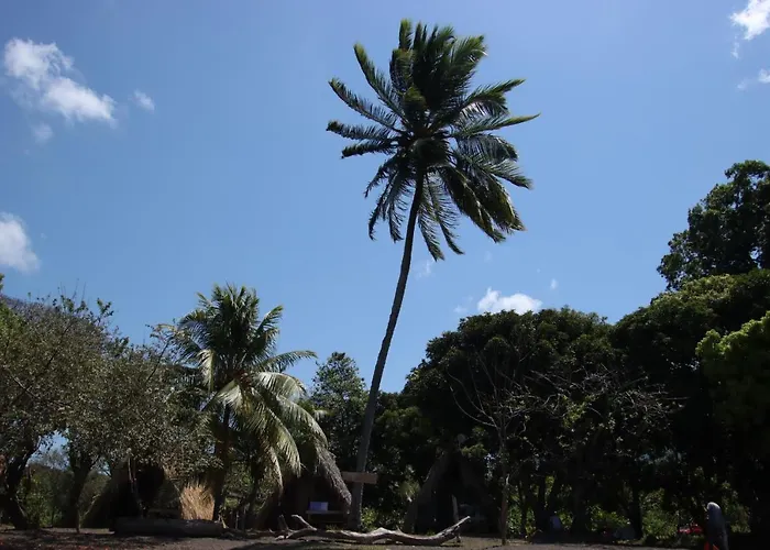 La Sirenita - Ometepe