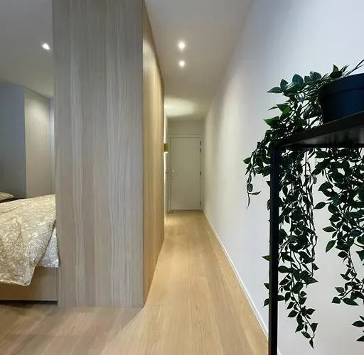 Studio Kz Modern Studio