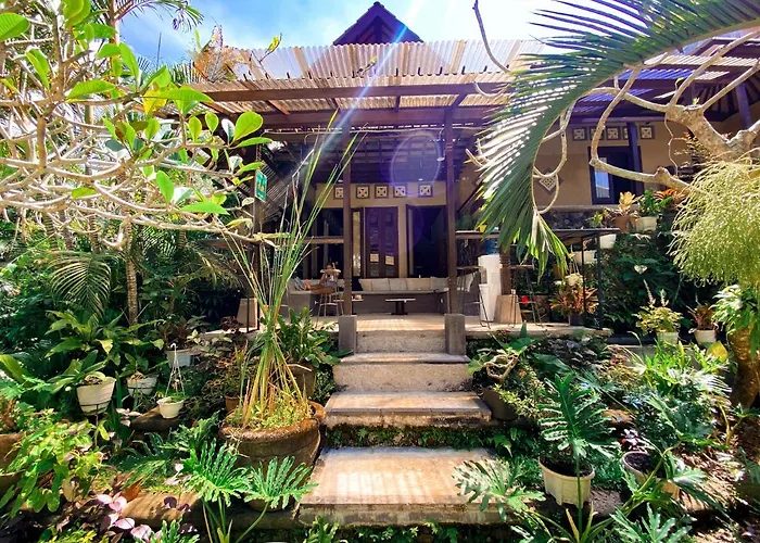 Home-Bience Hostel