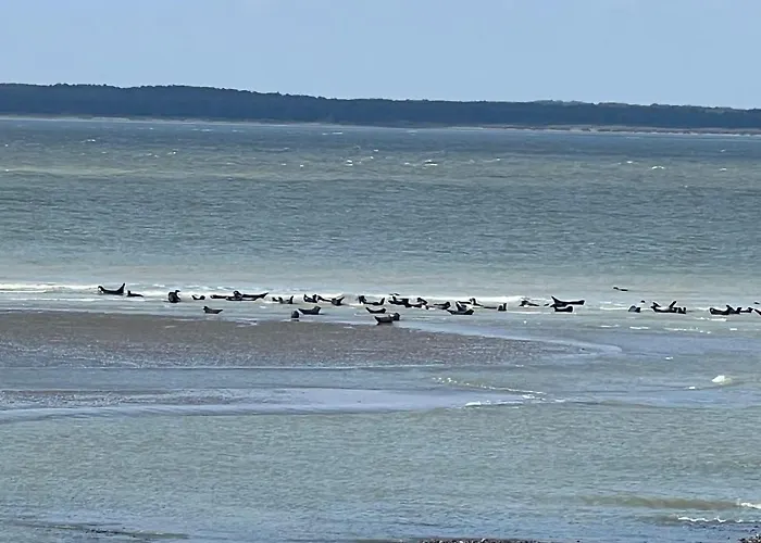 Plage à 50m Appartement Rêves étoilés Villa Les Bains de Mers