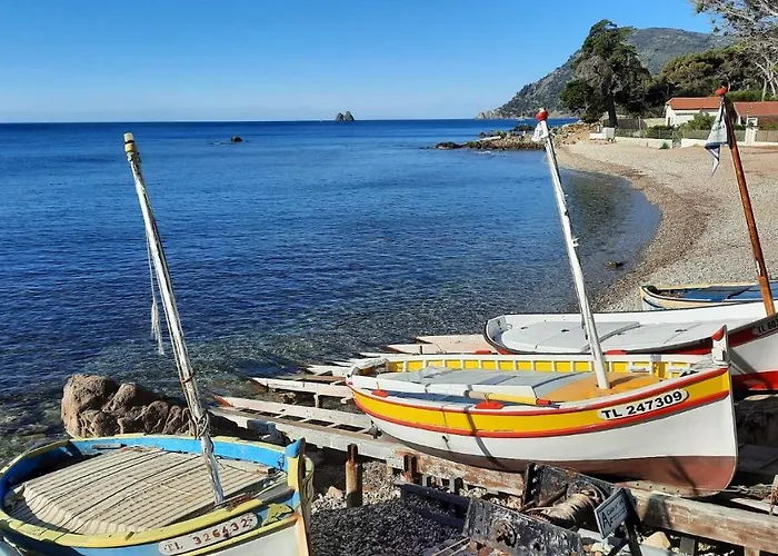 Les Bois Flottés . Plage de la Verne