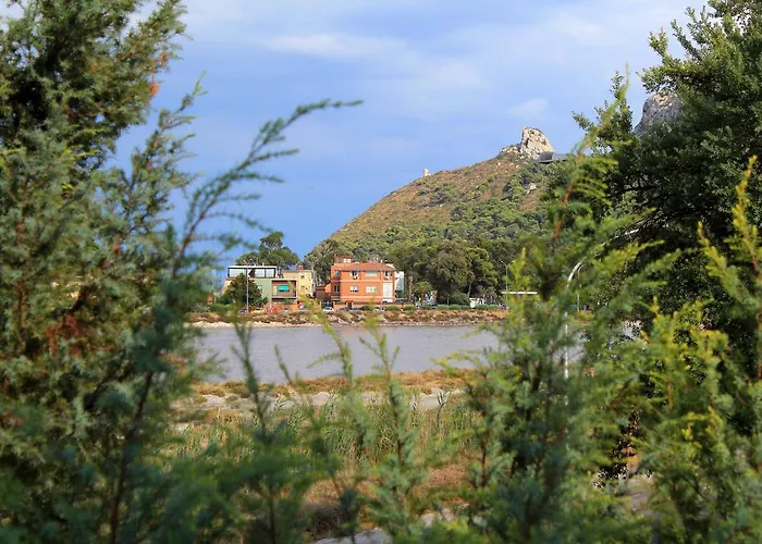 La Tuia e il Tasso