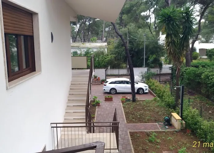La pineta