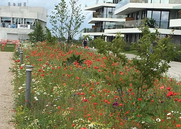 Bo Med Stil Og Udsigt Til Aarhus Lystbadehavn