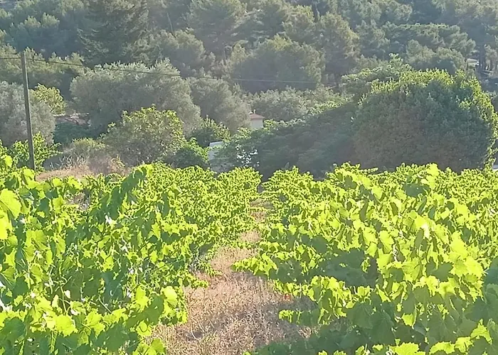 La naronne