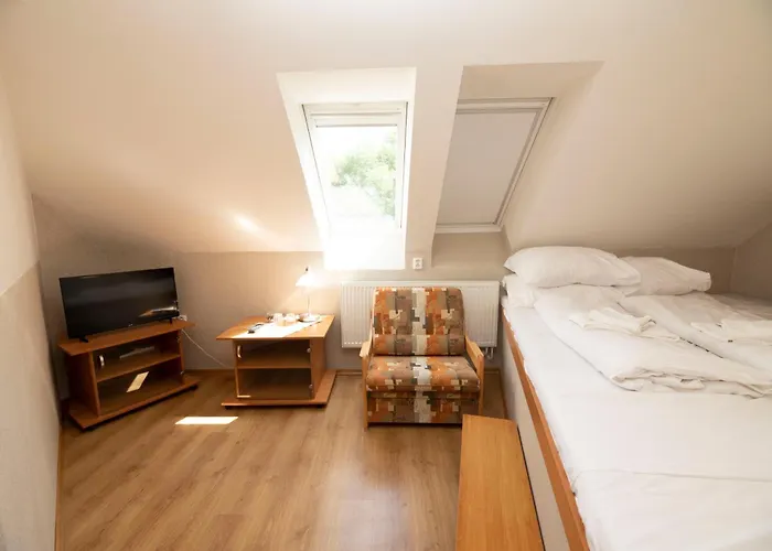 Hotel Allvet