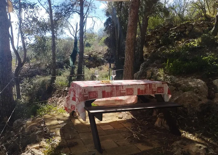 La Pineta