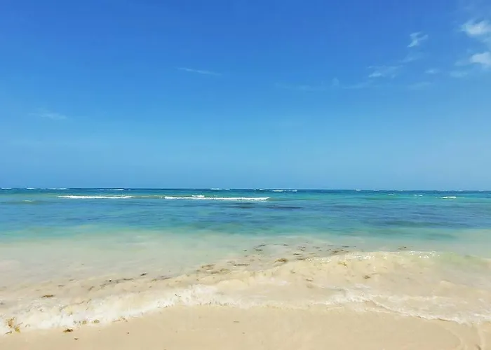 Luxury Jungle Loft, 7 Pools, Rooftop Panoramic View, Beach Shuttle, Fast Wifi