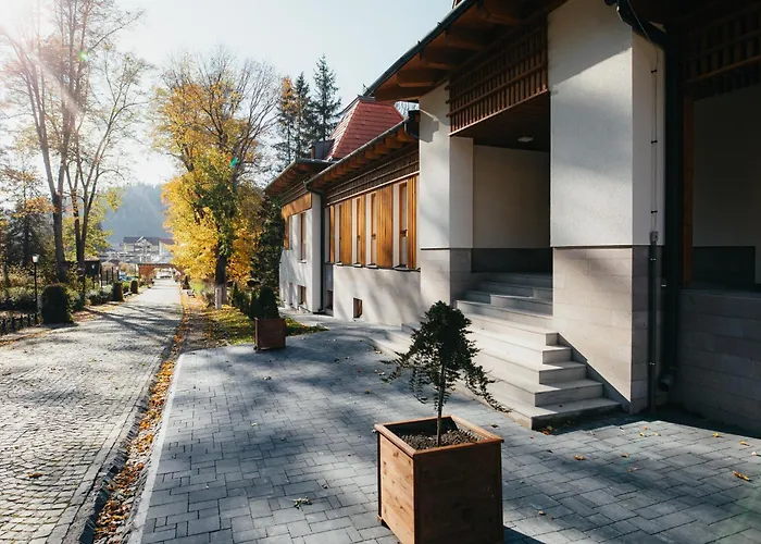 Villa Bellini Borszék