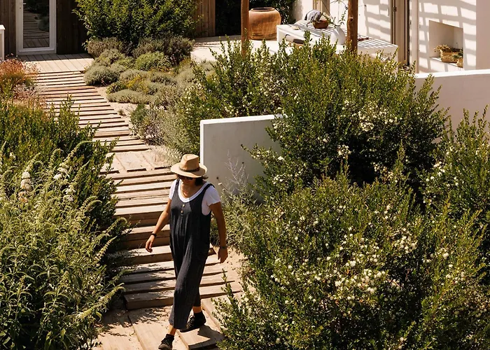 Casas de Arroz