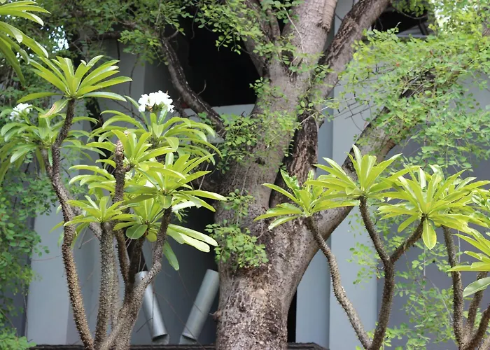 Ecolux Boutique Hotel