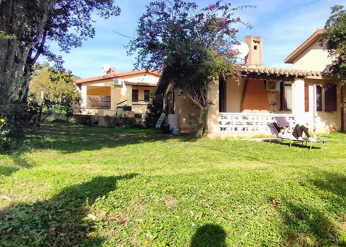Bouganville
