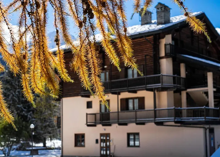 Alpine Forest Hotel&Restaurant