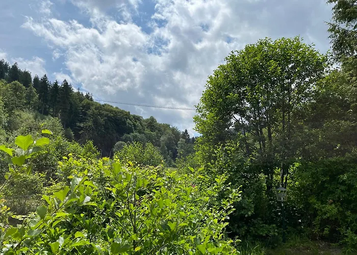 Hotel Zum Forsthaus