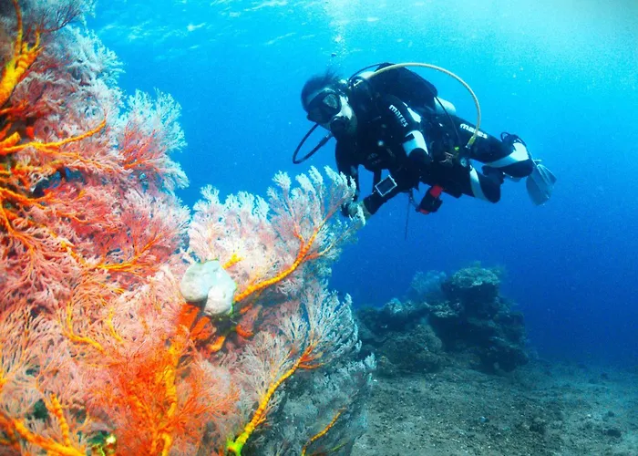 Kura Kura Divers Lodge