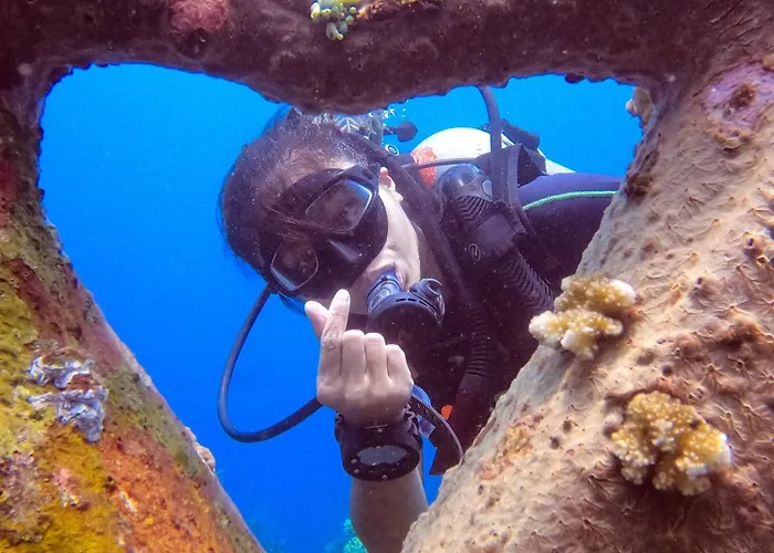 Kura Kura Divers Lodge