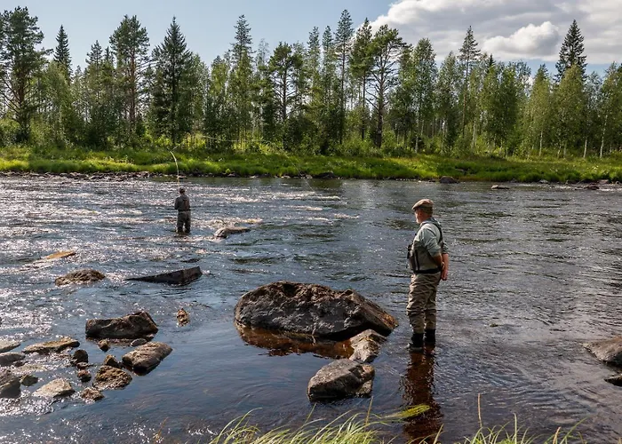 Lapinkoski Salmon Lodges Simojoki - Simoriver