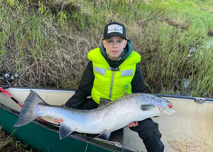 Lapinkoski Salmon Lodges Simojoki - Simoriver