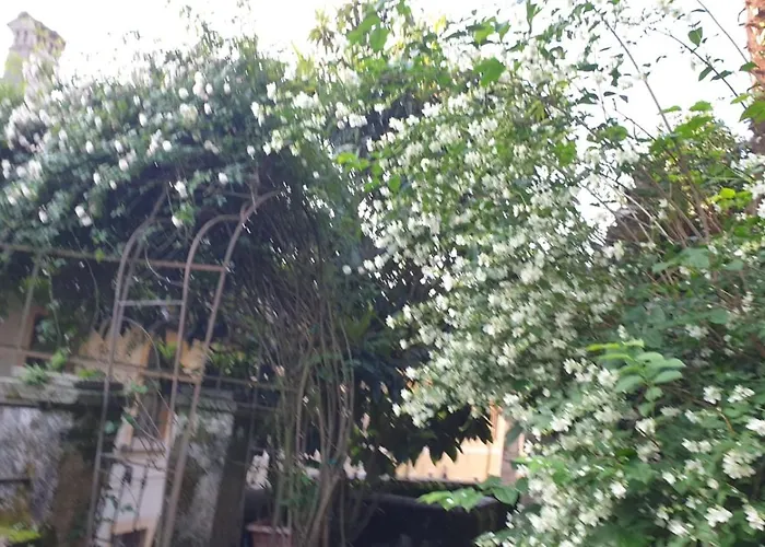 Villa La Casa Dell'Isola