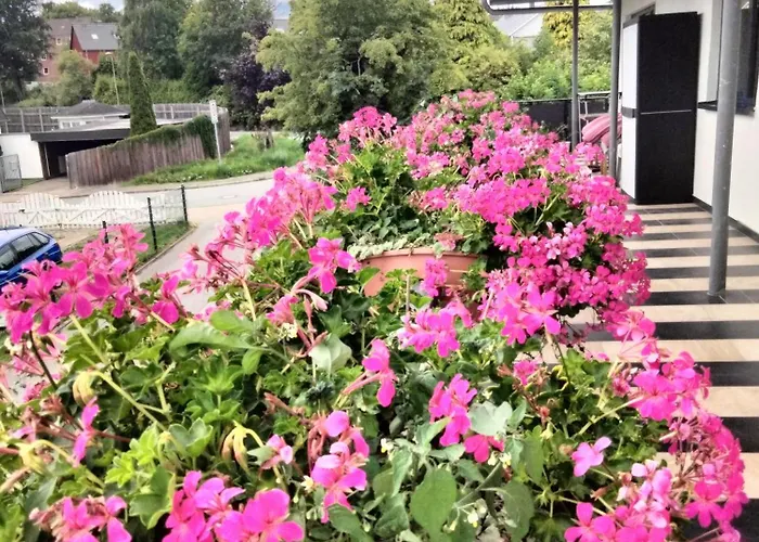 Komfort-Ferienwohnung mit Ostseeblick ,Entspannung
