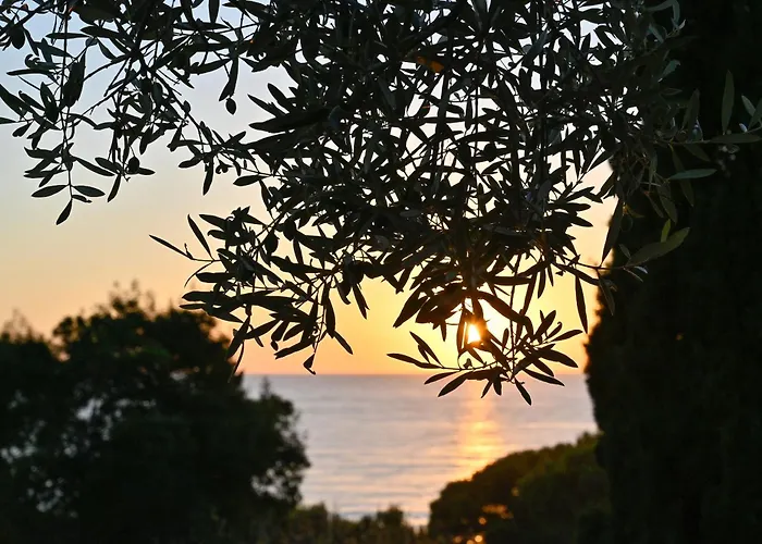 Albeca Boutique Hotel - Relais De Charme Sul Mare