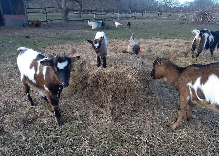 eco nature, gite à la ferme