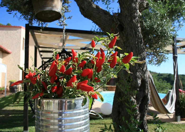 Il Podere dell'Angelo