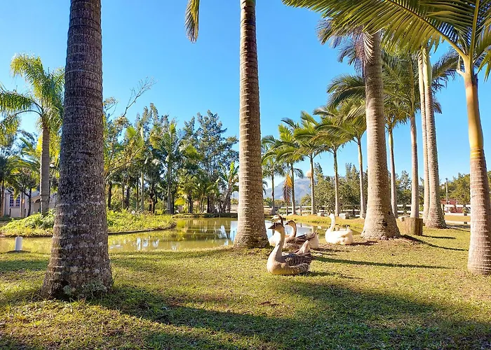 Hotel Termas da Guarda
