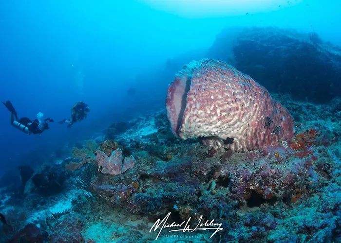Coriana Dive Resort
