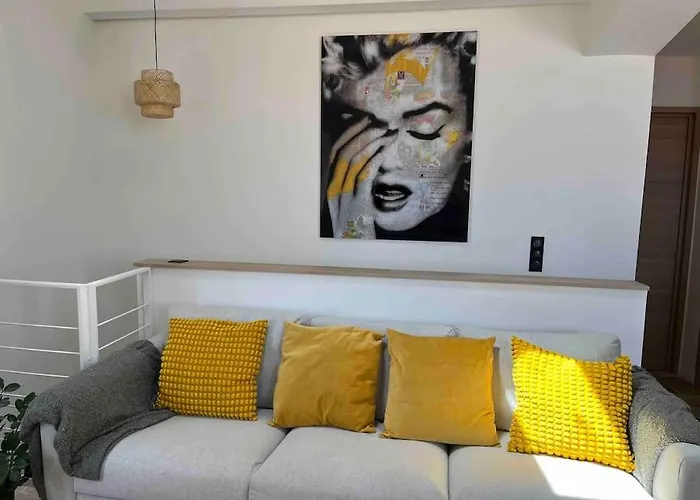 Strelizia - New Central Old Antibes For 4 Ac