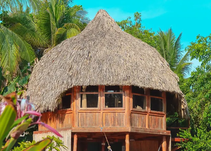 Hotel Tortuga Village
