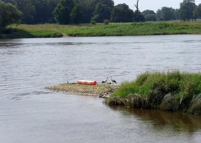 Elbterrassen zu Brambach