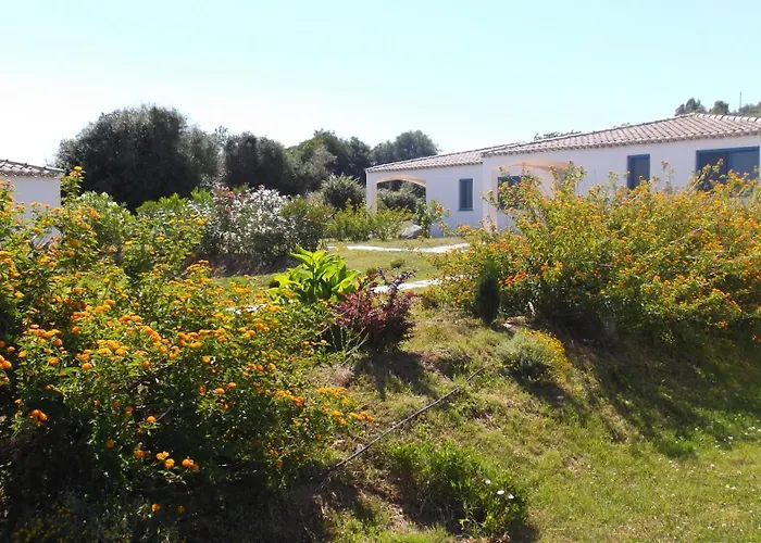 Hotel Baia Cea