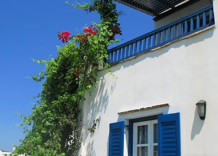 Mavromatis Studios