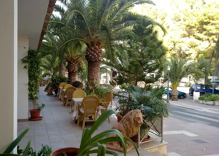 Hostal Leo d'Or
