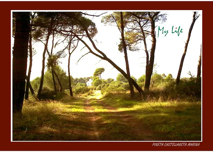 Mylife B&B Country House
