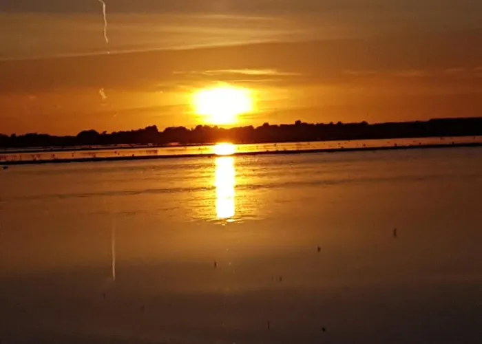 Romantisch Huisje Nabij Het Strand Met Uitzicht Op De Tulpenvelden