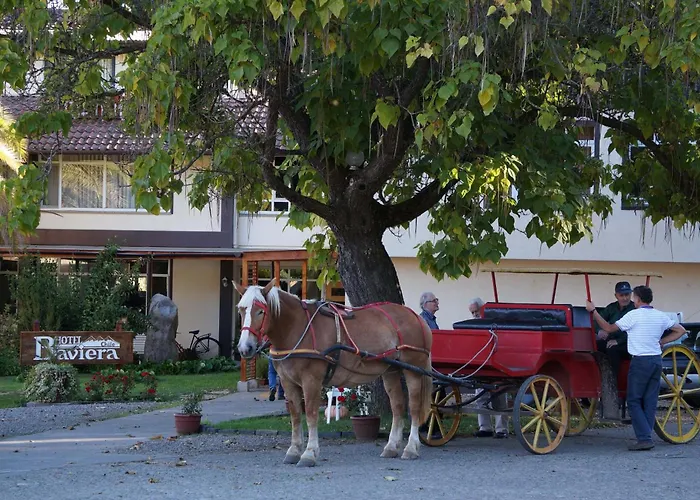 Villa Baviera, Hotel Baviera Chile