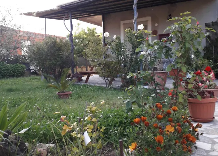 I Girasoli
