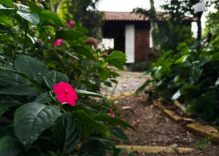 Joaoemaria Da Ilha