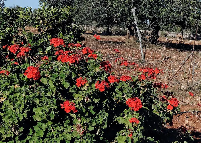 Finca Son Marimon - Adults Only